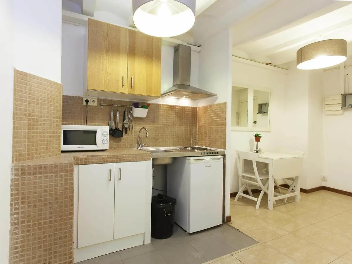 Studio Mozart Center Apartment Barcelona